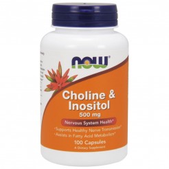NOW Choline & Inositol 500mg, 100 caps
