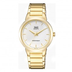 Мъжки часовник Q&Q QA42J001Y