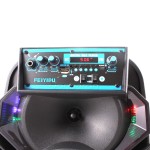 Feiyipu ES-03S Активна тонколона с LED светлини, wireless микрофон и дистанцонно, 8", 100W, Bluetooth, FM Radio, micro SD card - 4