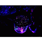 Нощна лампа Планетариум Star Master - 9