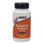 NOW Celadrin 350mg, 90 sofgels - 1