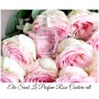 Elie Saab Le Parfum Rose Couture EDT 90ml дамски парфюм - 3